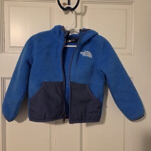 The North Face Blue Fleece Jacket